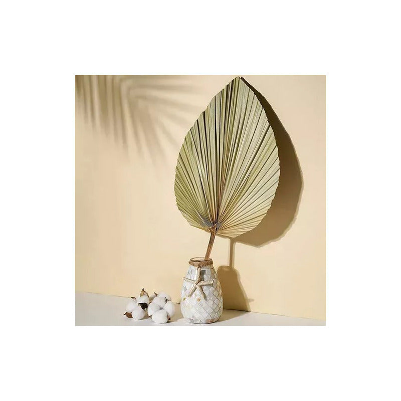10 Piezas De Hojas De Palma Secas, Forma De Corazón Tropical