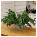 Guirnalda Pino Norfolk Eco & Deco Plástico Verde 70cm Pack 5 Uds