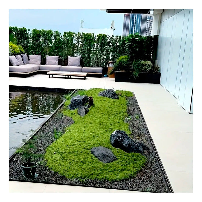 Musgo Artificial, Alfombra De Césped Rollo Sintetico De 1x1
