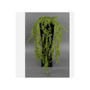 Planta Colgante Artificiales Silvestre Kaong Fruta De Palma Verde