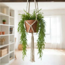 Planta Colgante Artificiales Silvestre Kaong Fruta De Palma Verde