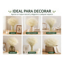 Flores Secas Blancas Aliento De Bebe Ilusiones Gypsophila Blanco