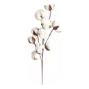 Tallos De Algodón Seco Flores Decorativas Cotton Blanco Deco
