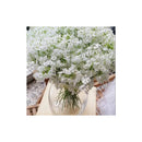 Pack 10 Flores Baby Breath Gypsophila Decoración Bringsine Blanco