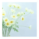 Amapolas Flores Artificiales Textura Realista Anemonas