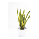 Flores Artificiales Sansevieria Lengua De Suegra Decoración  Verde