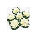 Pack 9 Flor De Loto Artificiales Loto Lirio Cojín Flotante