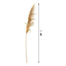 Piezas Rama De Pampas Grass Vara Grande Beige