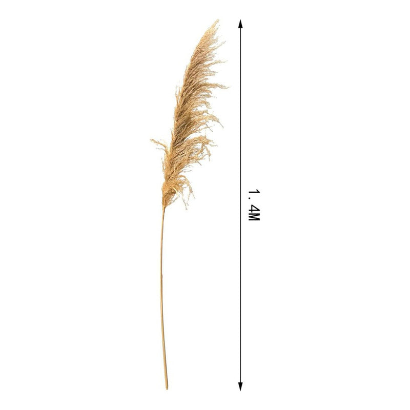 Piezas Rama De Pampas Grass Vara Grande