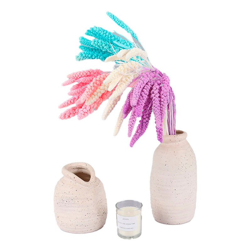 Ramas Secas Oreja De Trigo Preservada Decoración Hogar