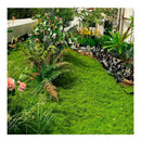 Musgo Artificial De Plantas Verde Musgo Sintético 1mt X 1mt