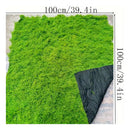 Musgo Artificial De Plantas Verde Musgo Sintético 1mt X 1mt