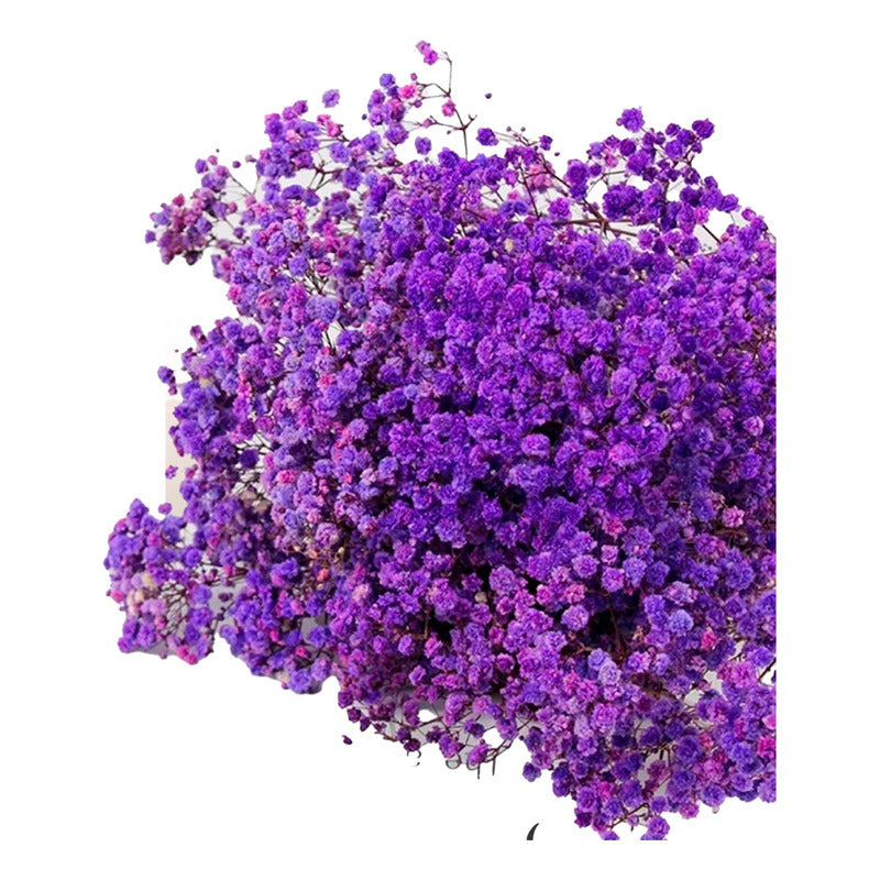 Flores Ramas Secas Naturales Decorativa, Gypsophila Frondosa
