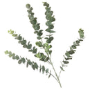 Flor Eucalipto Artificial, Vara Frondosa Larga Y Grande 88cm