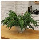 Pack De 5 Ramas De Pino Artificial De Norfolk Navideña Abeto Verde