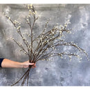 Ramas Secas Artificial Baby Breath Ilusiones Nube De Bebe Blanco
