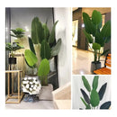 Planta Artificial De Ave Del Paraíso 21 .0 Mt Palma De Viaj Verde