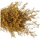 Flores Secas Ramo De Limonium Preservadas Reales Secas Grand