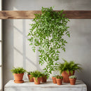 Rama Follaje De Arce Bambu Colgante Artificial Vara Frondosa Verde