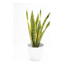 Flores Artificiales Sansevieria Lengua De Suegra Decoración Verde
