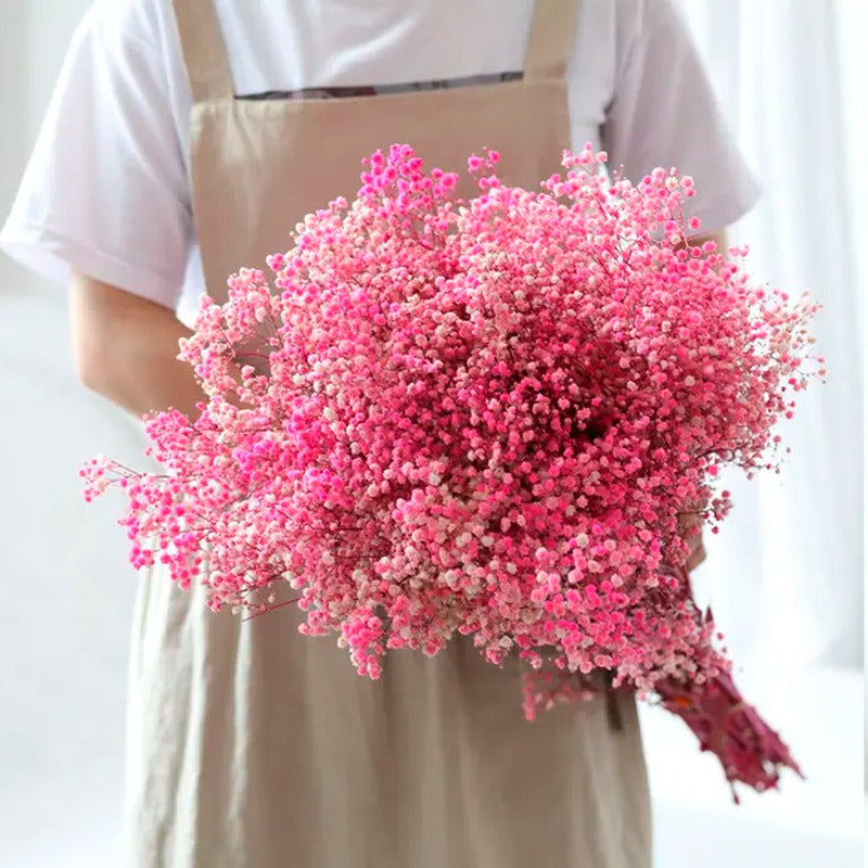 Flores Ramas Secas Natural Decorativa, Gypsophila Frondosa