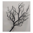Ramas De Arbol Rama De Coral Seca Artificial Tallo Largo