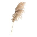 5 Piezas Rama De Pampas Grass Vara Grande Decoracion  Pack 5 Beige