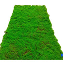 Musgo Decorativo Natural 1x1m Panel Vegetal Para Jardines Verticales Muros Verdes Decoración Interior Cuadros Vegetales Paisajismo Hogar Oficina Fácil Instalación Bajo Mantenimiento