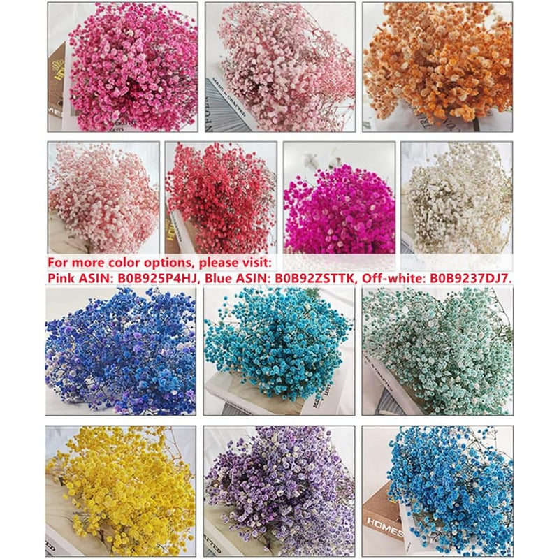 Flores Ramas Secas Natural Decorativa, Gypsophila Frondosa
