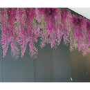 Eco & Deco Hiedra Violeta